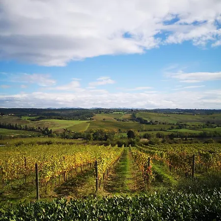 Gospodarstwo agroturystyczne Il Castagno Wine & Siena