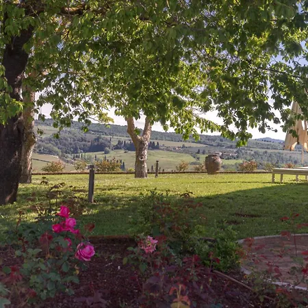 Il Castagno Wine & Agroturismo *